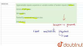 Hypervariable repeats sequences or variable number of tandem repeats VNTR are  12  HUMAN EVO [upl. by Cordi356]