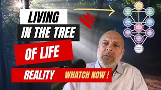 Kabbalah Secrets How To Shift from The Tree of Knowledge To The Tree of Life [upl. by Gracia]