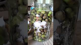 Ricetta olive conservazione per linverno olivw [upl. by Iggam616]