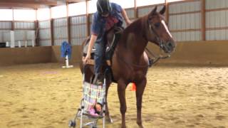 Extreme Horse Obstacle Training [upl. by Norri]