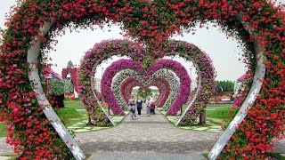 Miracle Garden  A Mega Flower Garden in Dubai [upl. by Sivrahc]