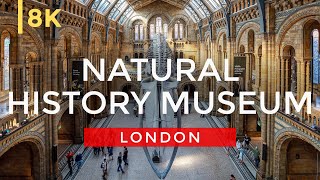 Inside the Stunning Natural History Museum of London in 8K [upl. by Naruq]