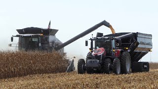 Corn Harvest Field Demo at Farm Progress Show 2024  All Combines Harvesting amp Chaser Bins Running [upl. by Ydissak411]