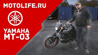 Обзор Yamaha MT03 2016 [upl. by Amaral854]