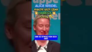 💥DARF man sich über DEN VIZEKANZLER so lustig machen 🤣💥 afd ampel habeck politik weidel bsw [upl. by Ahsenat]