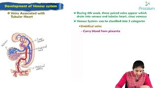 Development Venous system  Embryology Lecture [upl. by Blackman985]