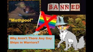 Why Arent There Any Gay Relationships in Warriors  Book Banning SJWs Censorship and more [upl. by Romanas]