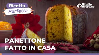 PANETTONE CON LIEVITO DI BIRRA  Fatto in casa spiegato passo passo [upl. by Marylee455]