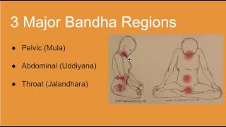 Yoga Bandhas Introduction [upl. by Enileme313]