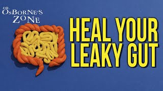 Heal Your Leaky Gut  Dr Osbornes Zone [upl. by Renwick]