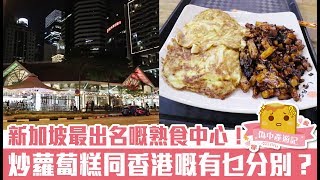 偽中產遊記·新加坡篇 11 老巴剎美食廣場｜新加坡最出名嘅熟食中心！炒蘿蔔糕同香港嘅有乜分別？ [upl. by Elleret]