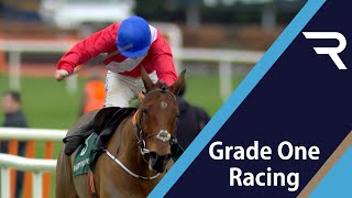 ENVOI ALLEN back to Grade 1 winning ways in the Paddys Rewards Club Chase at Leopardstown [upl. by Suiraj871]