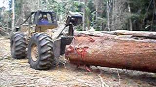 Skidder logging a large tree in a tropical forest rain forest [upl. by Idnahk]