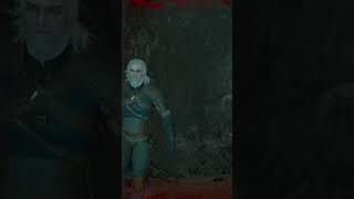 When Geralt Meet Geralt  Witcher 3 Wild Hunt shorts gaming rdr2 pcgaming quality fyp [upl. by Nnairak]