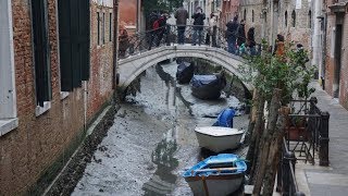 Venedig trocknet aus Video [upl. by Eremaj331]