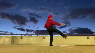 Yang Syle tai chi to “Love amp Hate” by Michael Kiwanuka [upl. by Idden]