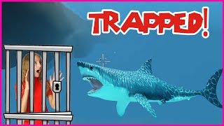 Trapped in a SHARK CAGE [upl. by Bergmans]