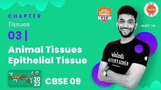 Tissues  3  Plant Tissues  CBSE 9 Science 202223  Amrit Sir  Vedantu 9 and 10 [upl. by Ytsud]