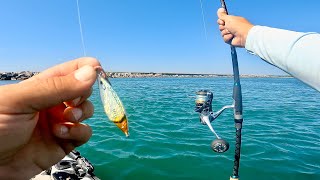 Slow Pitch Jigging amp Micro Jigging With Lures From Japan [upl. by Everest463]