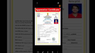 Apprentice Certificate कैसे Download करें ✅ apprentice certificate marksheet apprenticeship [upl. by Mauve]