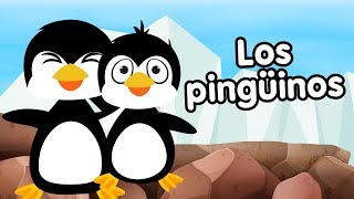 Los Pingüinos canciones infantiles [upl. by Ednargel]