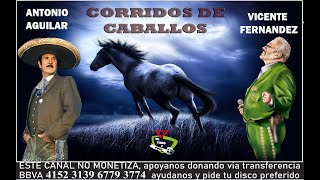 Corridos de Caballos  Vicente Fernández vs Antonio Aguilar [upl. by Nyasuh]