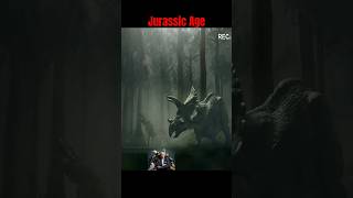 Jurassic Age  T Rex vs Triceratops part 2 [upl. by Tessler]