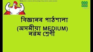 Tissues chapter 6 of class 9Assamese medium [upl. by Noemis]