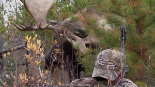 World Record Moose Shot [upl. by Rodger]