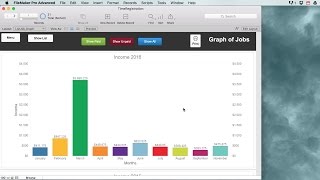 Filemaker Time Registration for Freelancers [upl. by Nosyla]