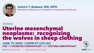 Uterine mesenchymal neoplasms recognizing the wolves in sheep  Dr Rabban UCSF GYNPATH [upl. by Dorreg]