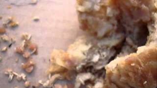 Girl eats pastry infested with maggots bought in French bakery [upl. by Eynenihc437]