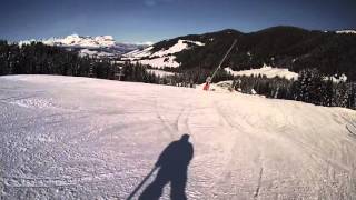 Wedze Ski Test 2016 Taster [upl. by Papagena]