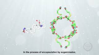 Encapsulation dynamic of neuromuscular blocking drugs by sugammadex [upl. by Ydneh]