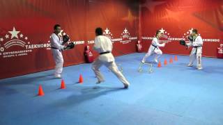 WORLD TAEKWONDO TRAINING PROGRAM DVD NO12 [upl. by Yltneb]