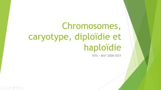 Chromosomes caryotype diploïdie et haploïdie [upl. by Trebbor]