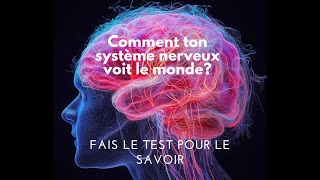 Comment ton système nerveux voit le monde Fais le test pour le savoir [upl. by Adnilem]