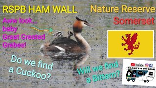 RSPB Ham Wall Nature Reserve amp Walton Hill Somerset no 340 110524 [upl. by Landing]