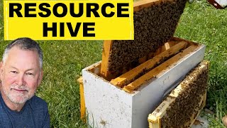 Beekeeping How To Use A Resource Hive [upl. by Nij539]