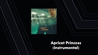 Apricot Princess Instrumental [upl. by Annaitsirk]