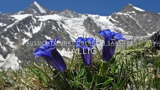 Bergpanorama SaasFee  Aussichtspunkt Mällig [upl. by Oznol588]