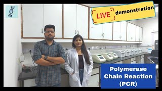 Polymerase Chain Reaction PCR Live demonstration Practical process for PCR [upl. by Reinar]