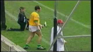 Clare v Offaly 1995 All Ireland SHC Final Extended Highlights [upl. by Idarb153]