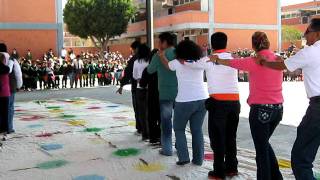 ACTIVACIÓN COLECTIVA MAESTROS DE EDUCACIÓN FISICA [upl. by Thera]