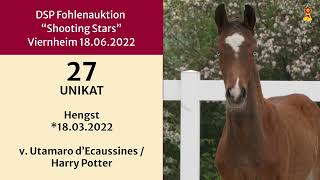 KN 27 UNIKAT v Utamaro dEcaussinesHarry Potter [upl. by Gould]