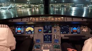 Airbus A320NEO Cockpit Takeoff from Oslo Gardermoen [upl. by Ylsew]