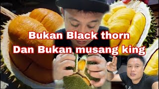 DURIAN MALAYSIA 🇲🇾GUGUR SENDIRI TAK MACAM DI NEGARA LAIN ⁉️ [upl. by Nahsin]