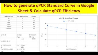 How to generate qPCR Standard Curve amp Calculate qPCR assay efficiency in google sheets [upl. by Luwana229]