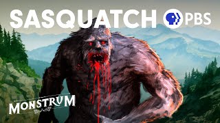 Sasquatch Unraveling the Sightings  Monstrum [upl. by Sher947]