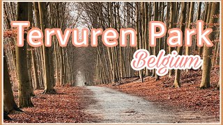 The calm before the Snow  Must visit in Belgium  Tervuren Park [upl. by Jary]